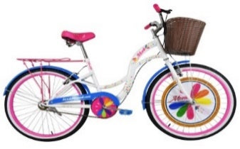 BICICLETA SHON LIFE CANAST/PORTAB R24